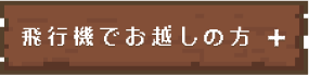 飛行機でお越しの方